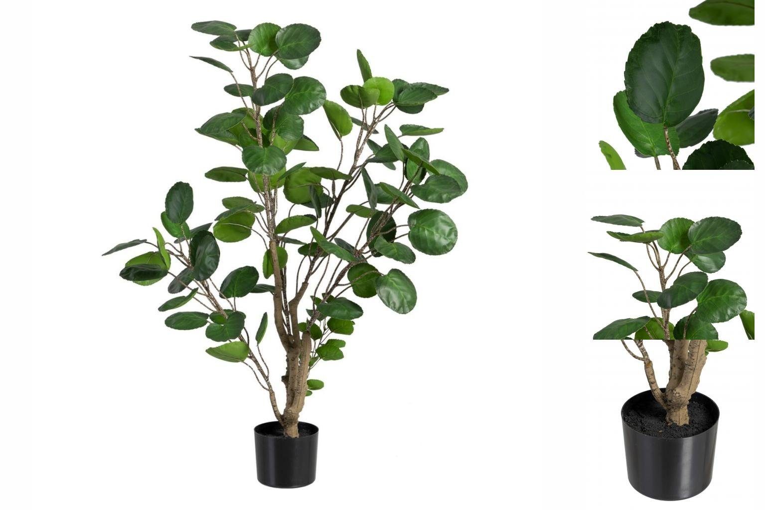 Künstliche Zimmerpflanze Dekorationspflanze 80 x 77 x 113 cm grün PVC Aralia, Bigbuy, Höhe 17 cm