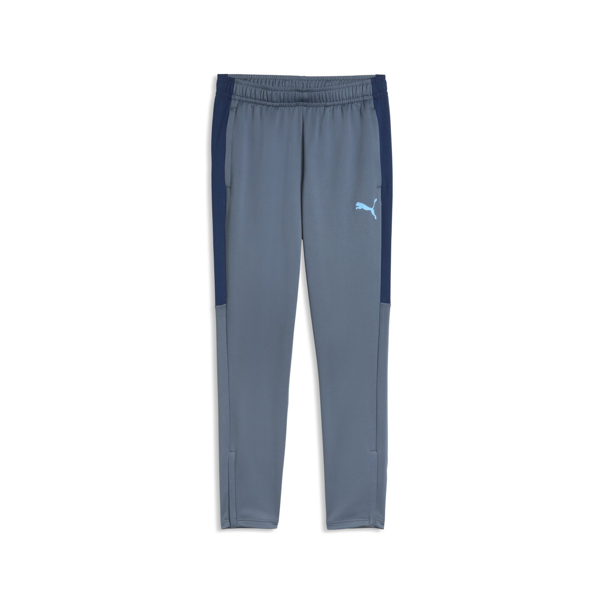 PUMA Sporthose IndividualLIGA Trainingshose Herren