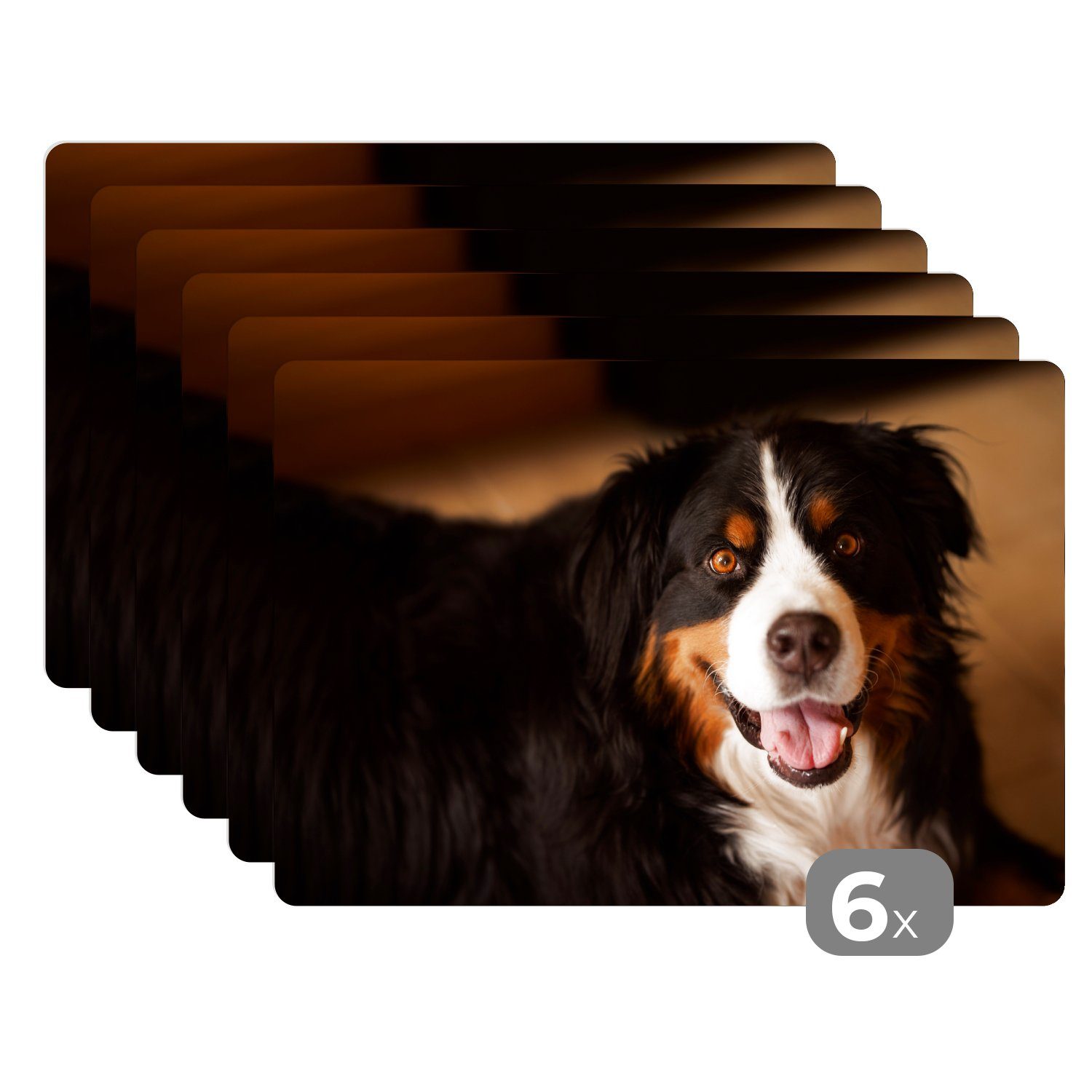 Platzset, Berner Sennenhund schaut in die Kamera, MuchoWow, (6-St), Platzset, Platzdecken, Platzmatte, Tischmatten, Schmutzabweisend