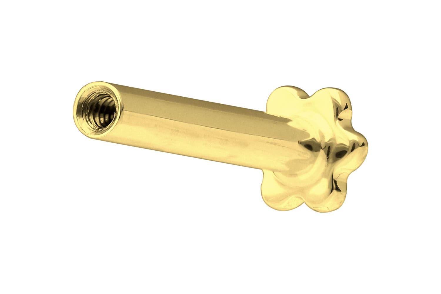 PIERCINGLINE Piercing-Set 14 Karat Gold Labret günstig online kaufen