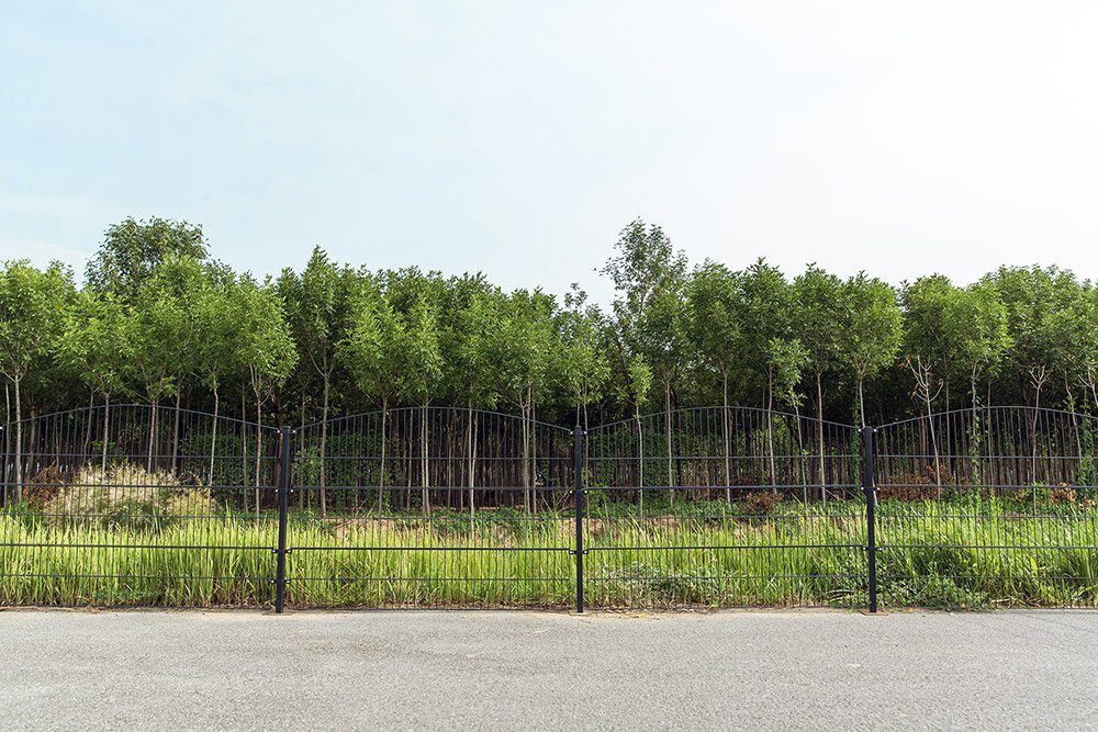 HOME DELUXE Doppelstabmattenzaun Doppelstabmattenzaun BERG grün, Verschiedene Breiten und Höhen - feuerverzinkter Stahl