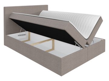 MIRJAN24 Boxspringbett Basic (mit Matratzen-Topper, Hauptmatratze), mit zwei Bettkästen für die Bettwäsche, 120/140/160/180/200 cm