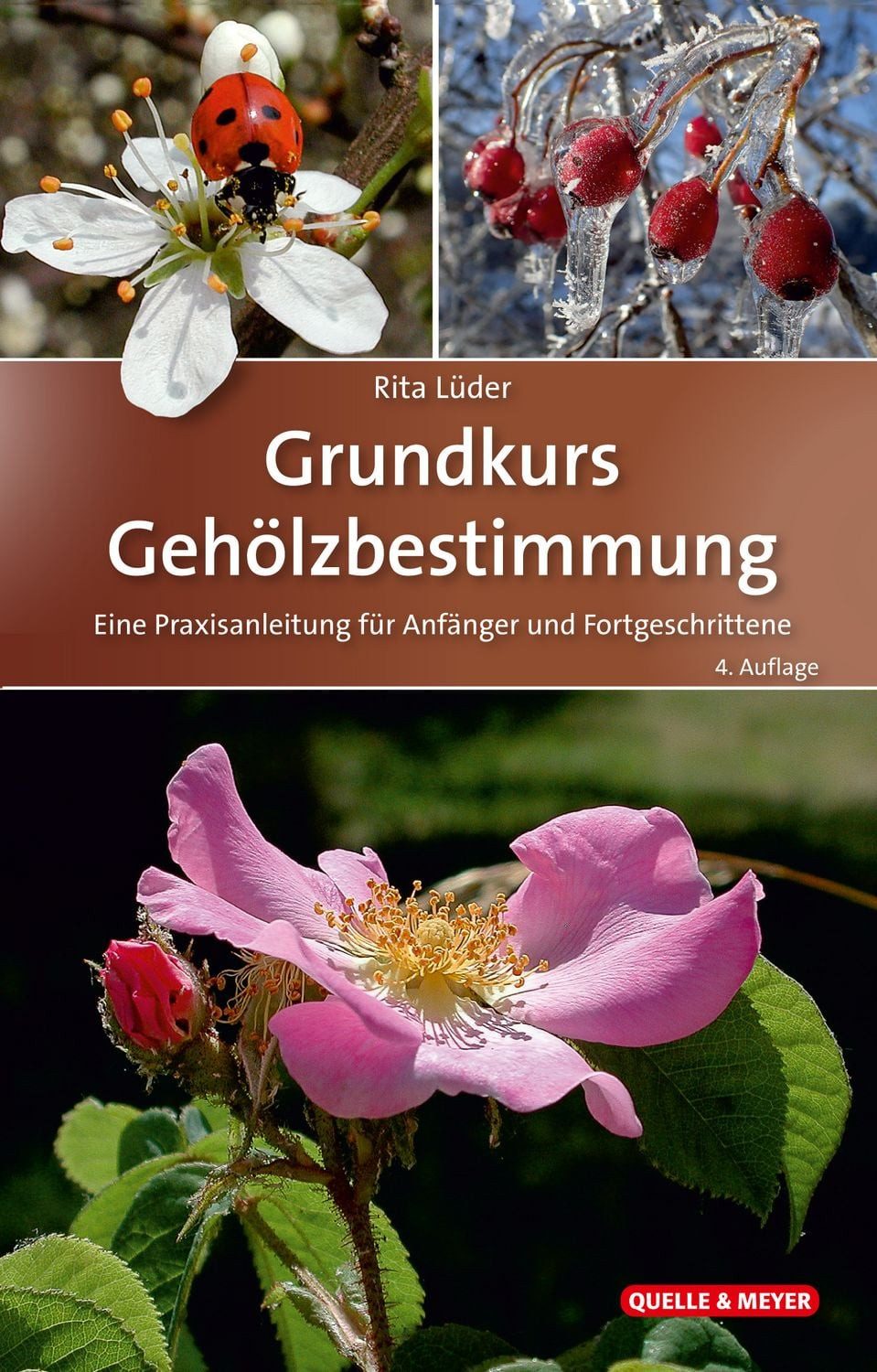 Ratgeber Grundkurs Gehölzbestimmung Eine Praxisanleitung für Anfänger und Fortg Rita Lüder