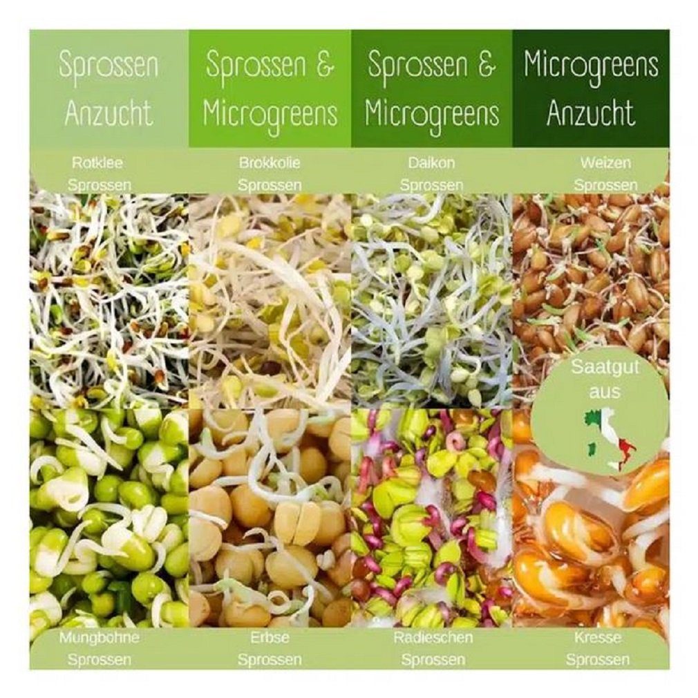 LOVEPLANTS Kräutertopf Dein 8 Sorten Sprossen-Microgreens Samen (1 Bio St) Superfood Set