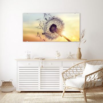 Primedeco Glasbild Wandbild Silhouette von Löwenzahn mit Aufhängung, Blumen