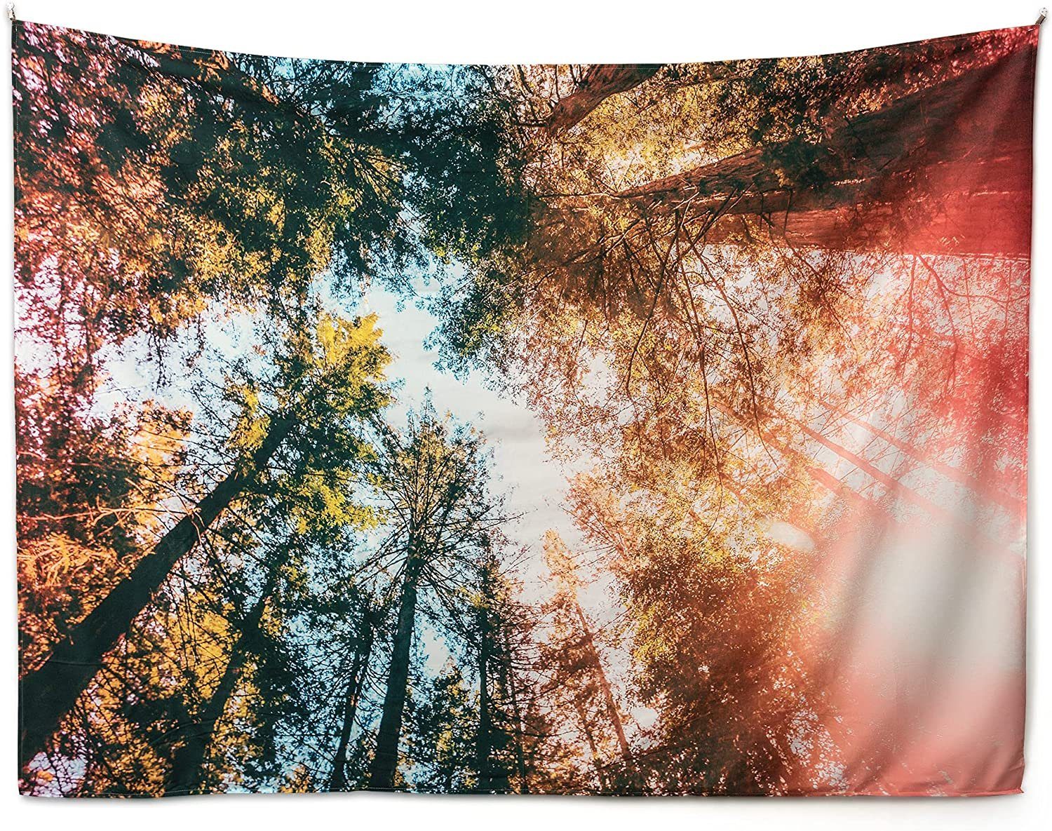 riijk Wandteppich Tagesdecke groß mit Motiv, als Picknickdecke. Wandtuch, Lichtecht, waschbar ohne Verblassen Digitaldruck