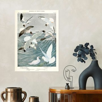 Posterlounge Wandfolie Master Collection, Möwen und Rissa, Badezimmer Maritim Illustration
