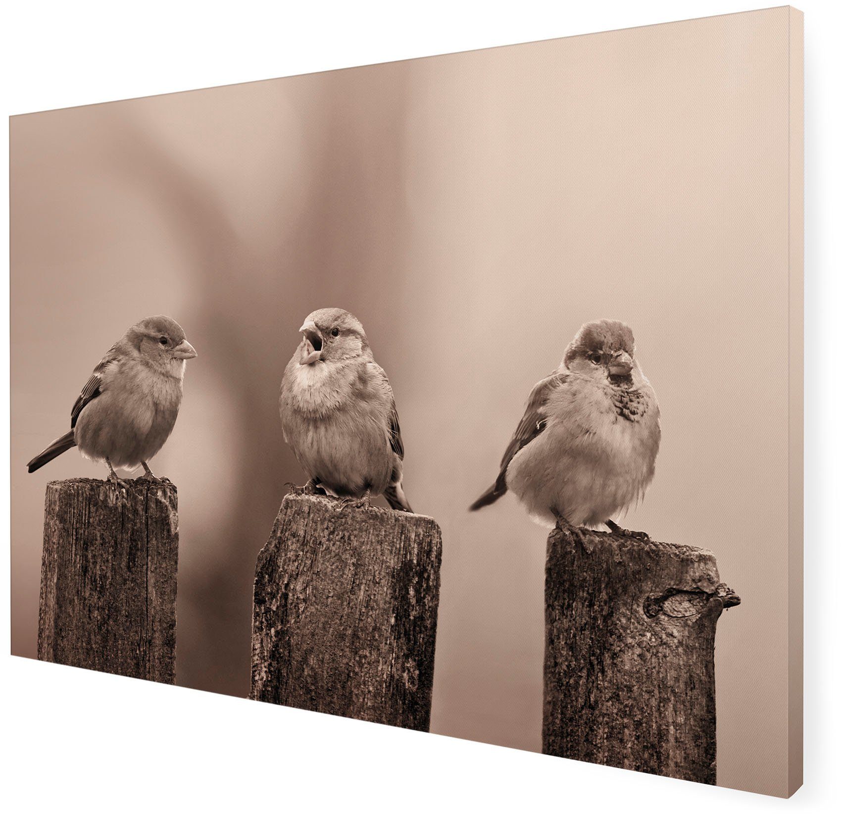 Art for the home Leinwandbild Outdoor Vogel 50x70cm, Romantisch, Strand (1 St), Leinwand für draußen- Early Birds - Sepia - 50x70cm