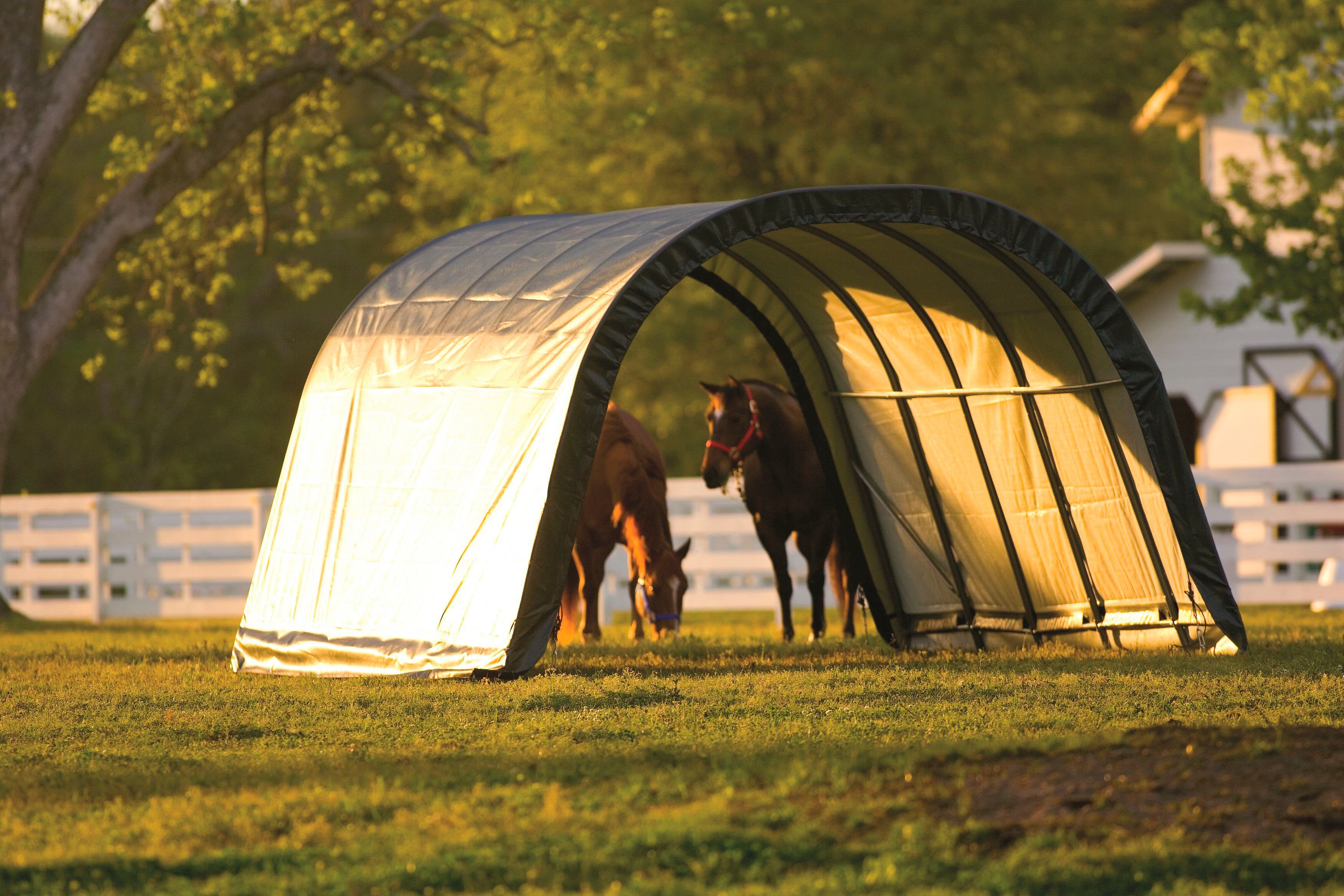 ShelterLogic Foliengerätehaus Weidezelt, BxT: 370x610 cm, günstig online kaufen