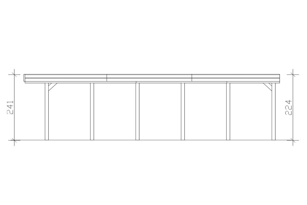 Skanholz Einzelcarport Friesland, BxT: 314x860 dunkelgrau 221 Einfahrtshöhe cm, cm