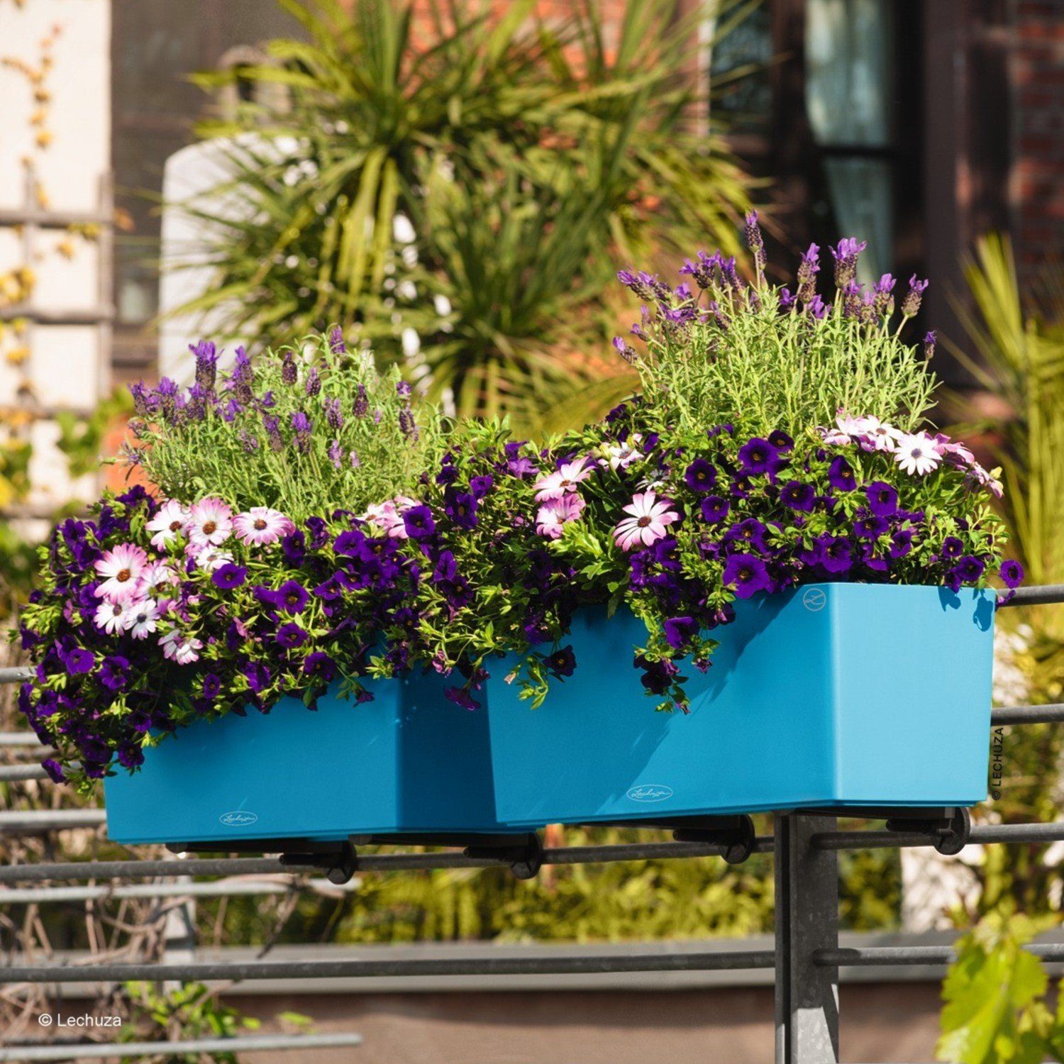 Lechuza® Balkonkasten Balconera Color 80 Balkonkasten petrolblau (Komplettset)