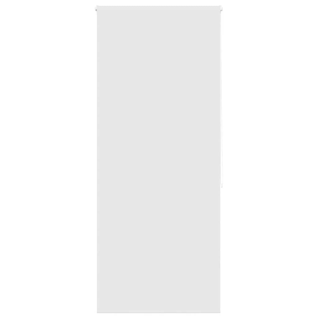 Rollo Duschrollo 90x240 cm Stoffbreite 86 cm, vidaXL
