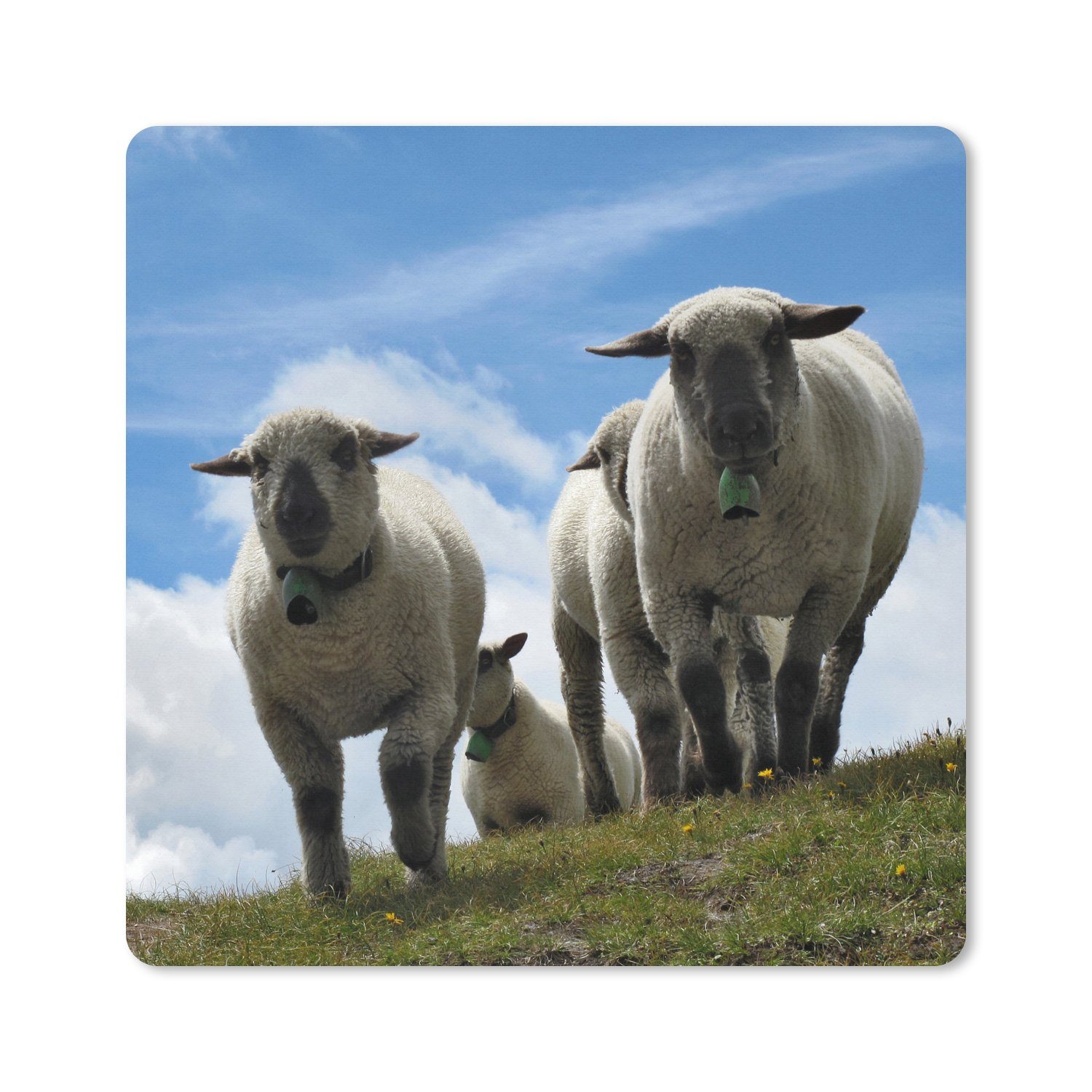 MuchoWow Mauspad (1-St), Mouse pad groß, Schreibtisch Zubehör, 50x50 cm