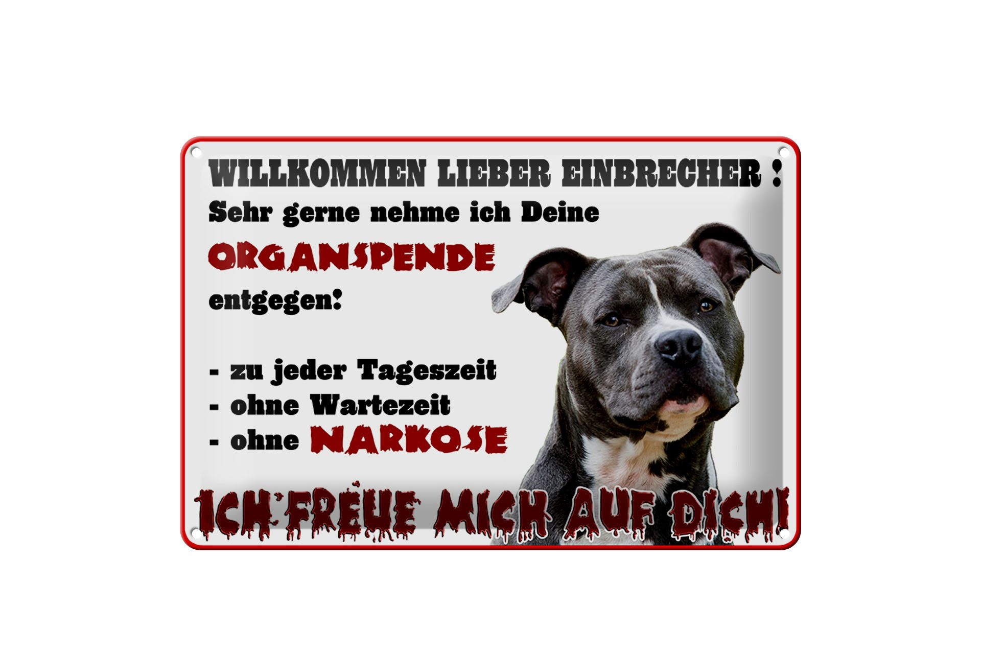 Metallschild Warnschild 30x20cm Willkommen lieber Einbrecher