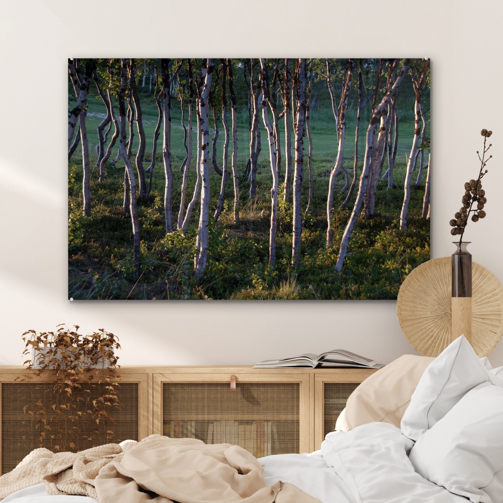 St), Schlafzimmer & im Acrylglasbild Abisko-Nationalpark (1 Acrylglasbilder in Schweden, Wohnzimmer Birkenwald MuchoWow