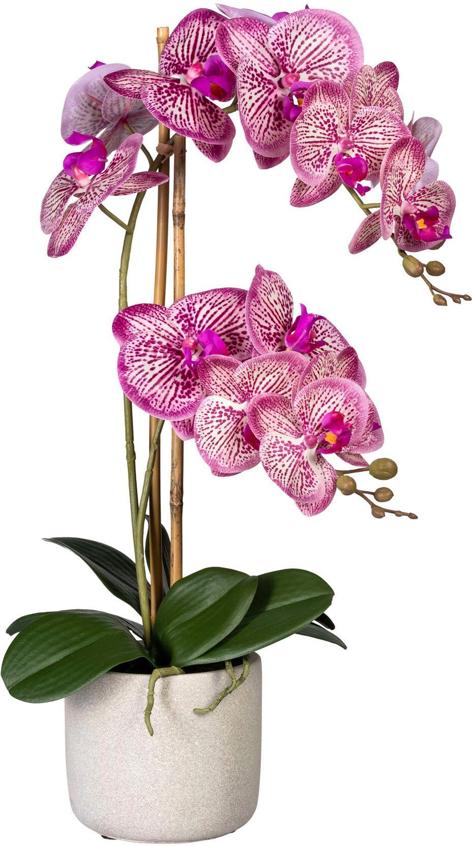 Künstliche Orchidee im Topf 60cm Kunst Blumen Orchideen Phalaenopsis Pflanze XL 
