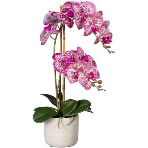 Kunstorchidee Phalaenopsis Orchidee Phalaenopsis, Creativ green, Höhe 60 cm, im Zementtopf