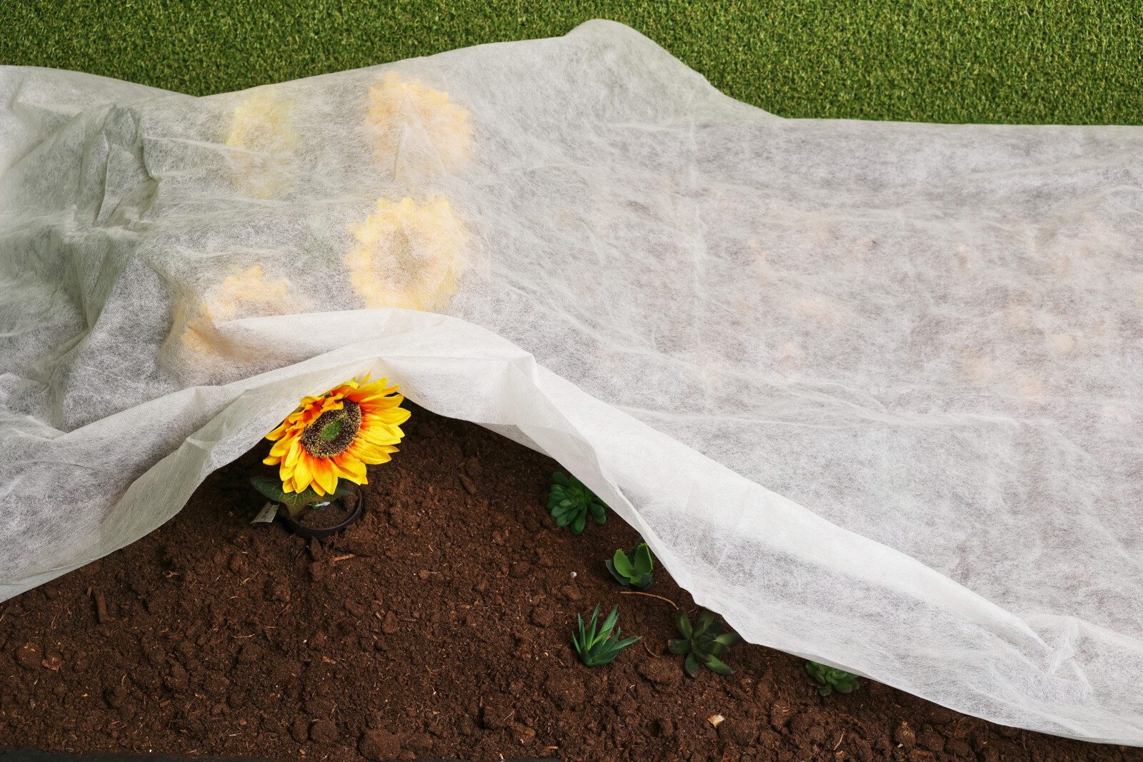 Meinposten Gartenvlies Pflanzenabdeckung Frostschutzvlies Winterschutz Pfla günstig online kaufen