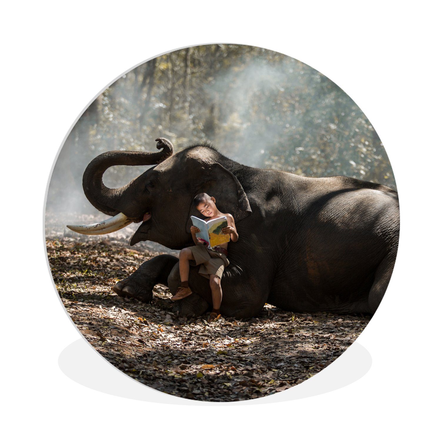 MuchoWow Gemälde Elefant - Junge Tiere Wohnzimmer, Rundes - cm - St), - (1 Buch Forex, Natur, - Wanddekoration 30x30 Kreis Wandbild, Wald