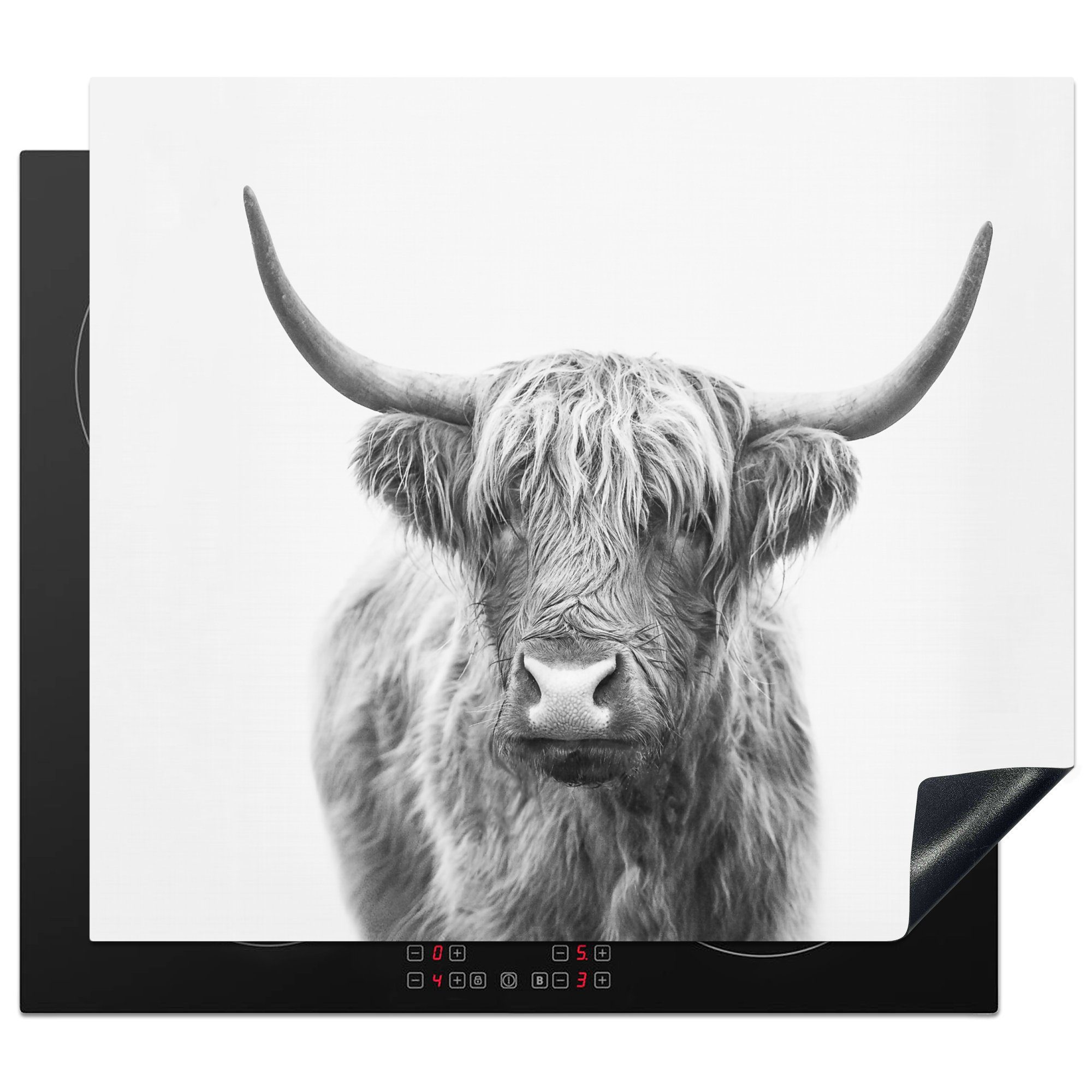 MuchoWow Herdblende-/Abdeckplatte Schottischer Highlander - Tiere - Hörner - Schwarz und weiß, Vinyl, (1 tlg), 60x52 cm, Mobile Arbeitsfläche nutzbar, Ceranfeldabdeckung