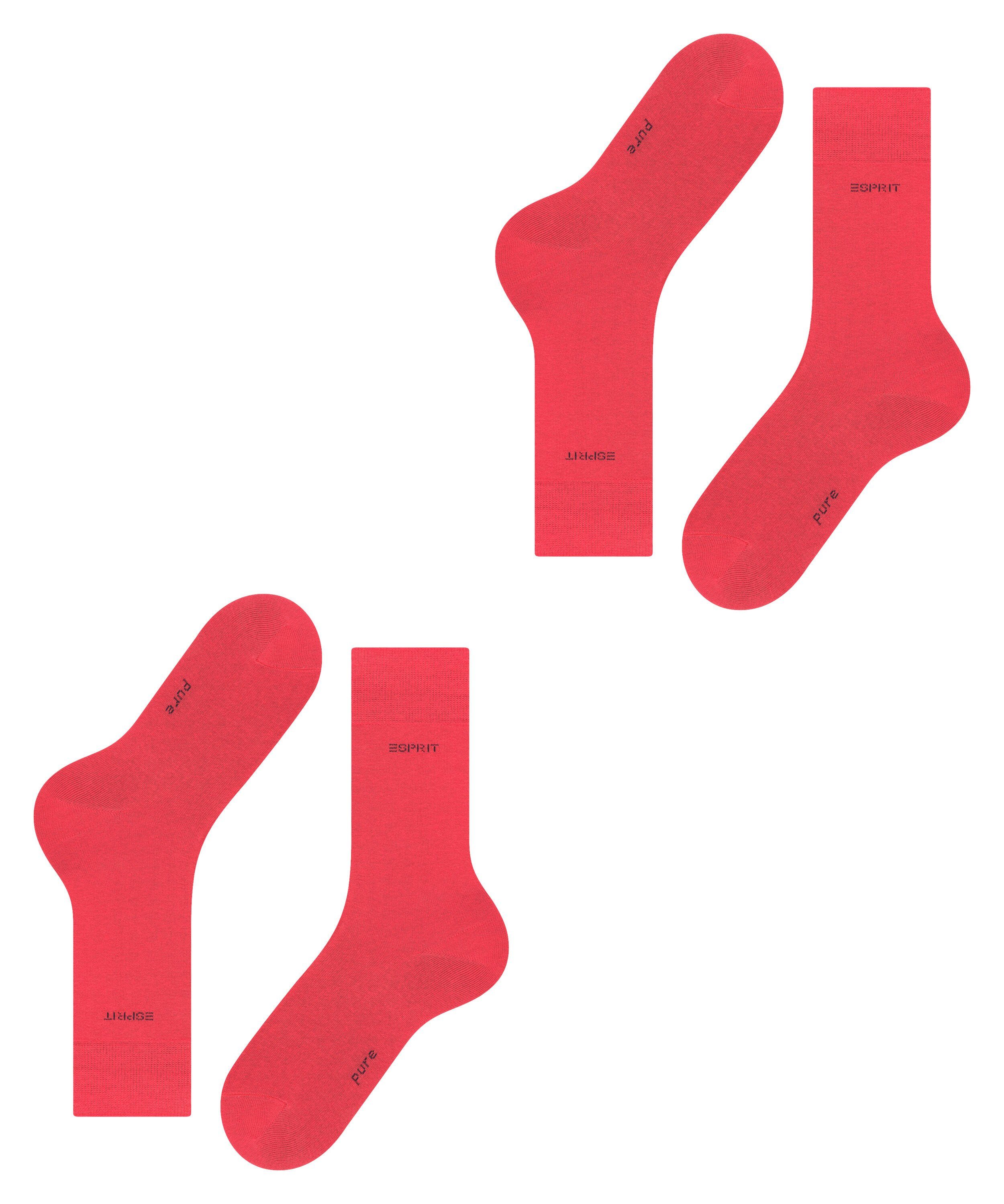 red (2-Paar) 2-Pack Uni pepper Socken Esprit Basic (8074)
