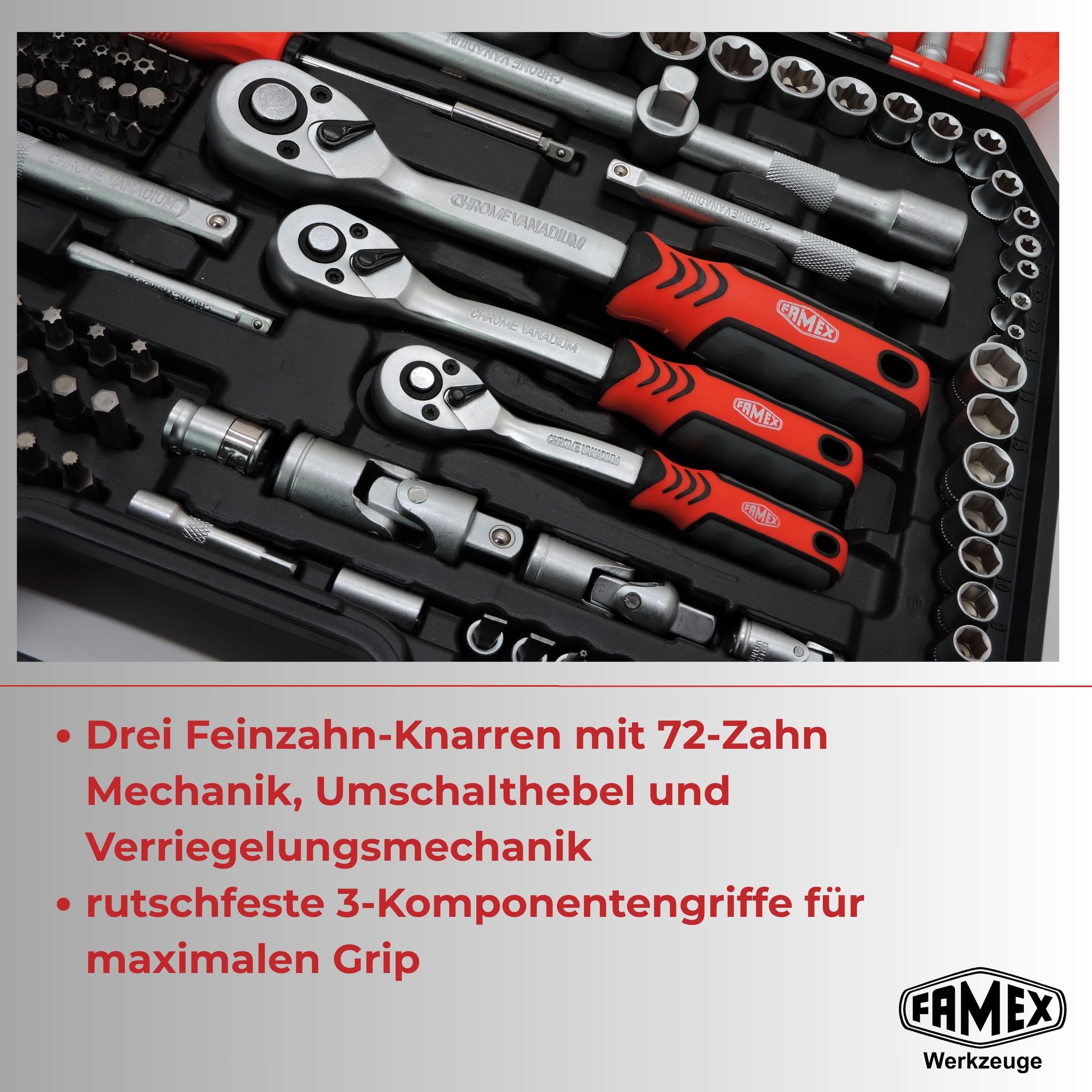 FAMEX Werkzeugset 555-50 Profi Steckschlüsselsatz 219-tlg, (Werkzeugkasten, Ratschenkasten 1/2", 1/4", 3/8), aus CV-Stahl, Auto, Motorrad, Fahrrad