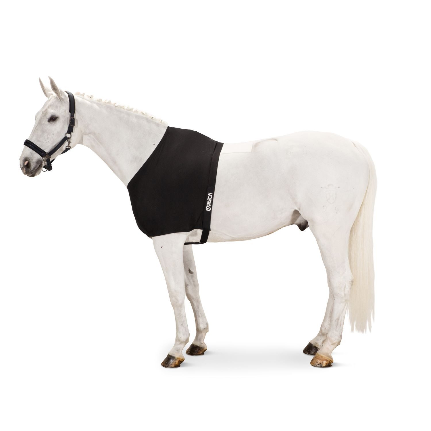 Eskadron Pferde-Stalldecke Eskadron Basic Chest Protector Dynairmesh Brustschutz