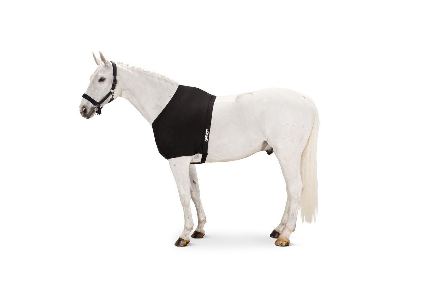 Eskadron Pferde-Stalldecke Eskadron Basic Chest Protector Dynairmesh Brustschutz