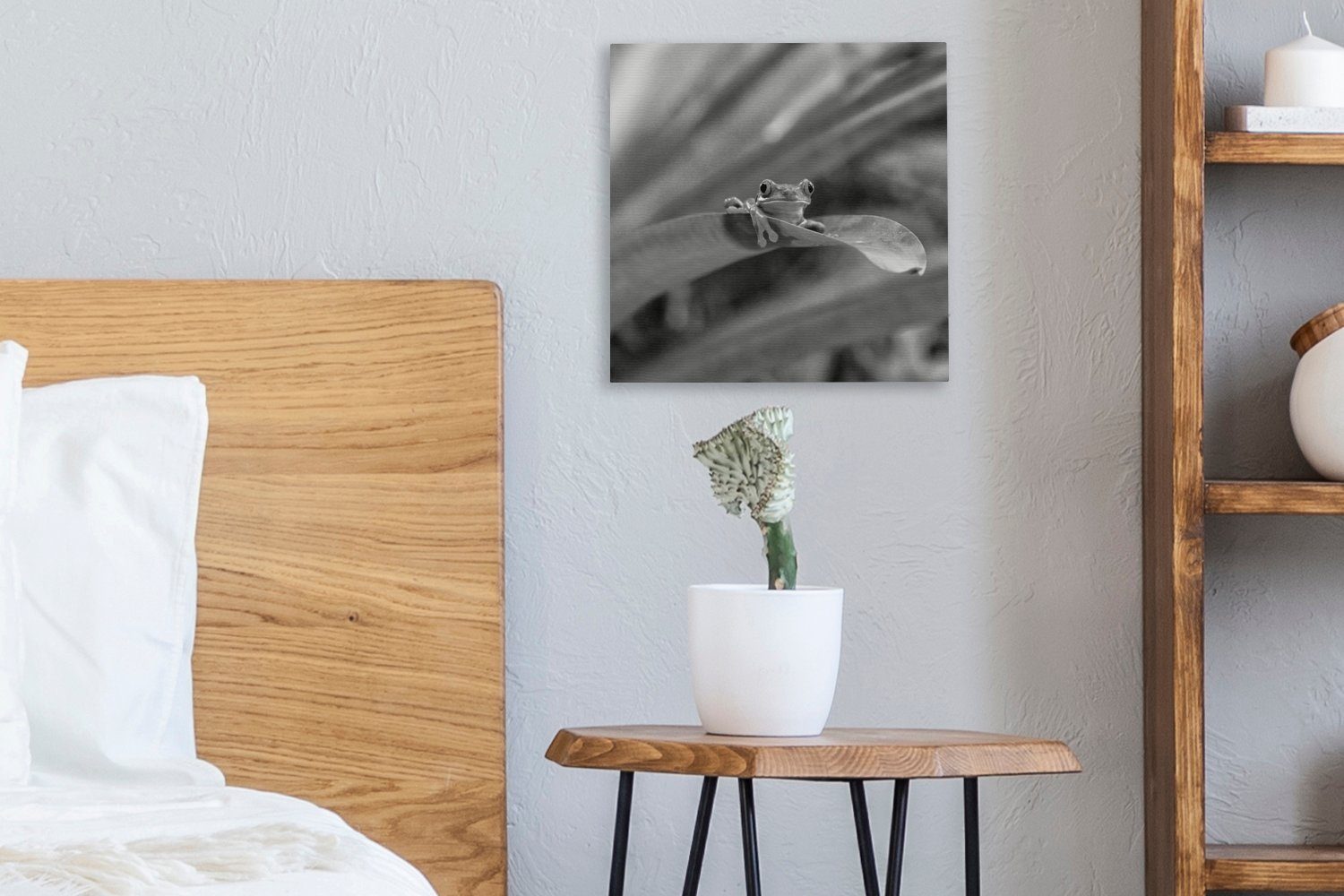 Rotaugenmakakenfrosch Leinwandbild Bilder Schlafzimmer Costa schwarz-weiß, in in Rica (1 für Leinwand unter St), OneMillionCanvasses® Wohnzimmer Blättern