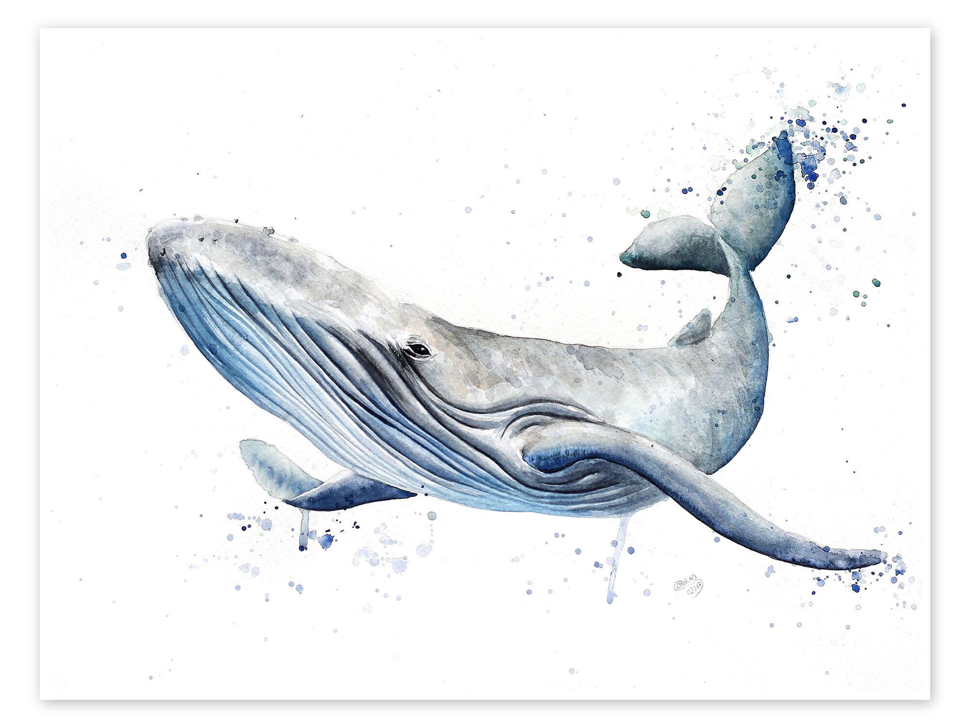 Posterlounge Wandbild Wal, Nadine Conrad, erhältlich als Poster, Leinwandbild, Wandsticker oder Acrylglasbild