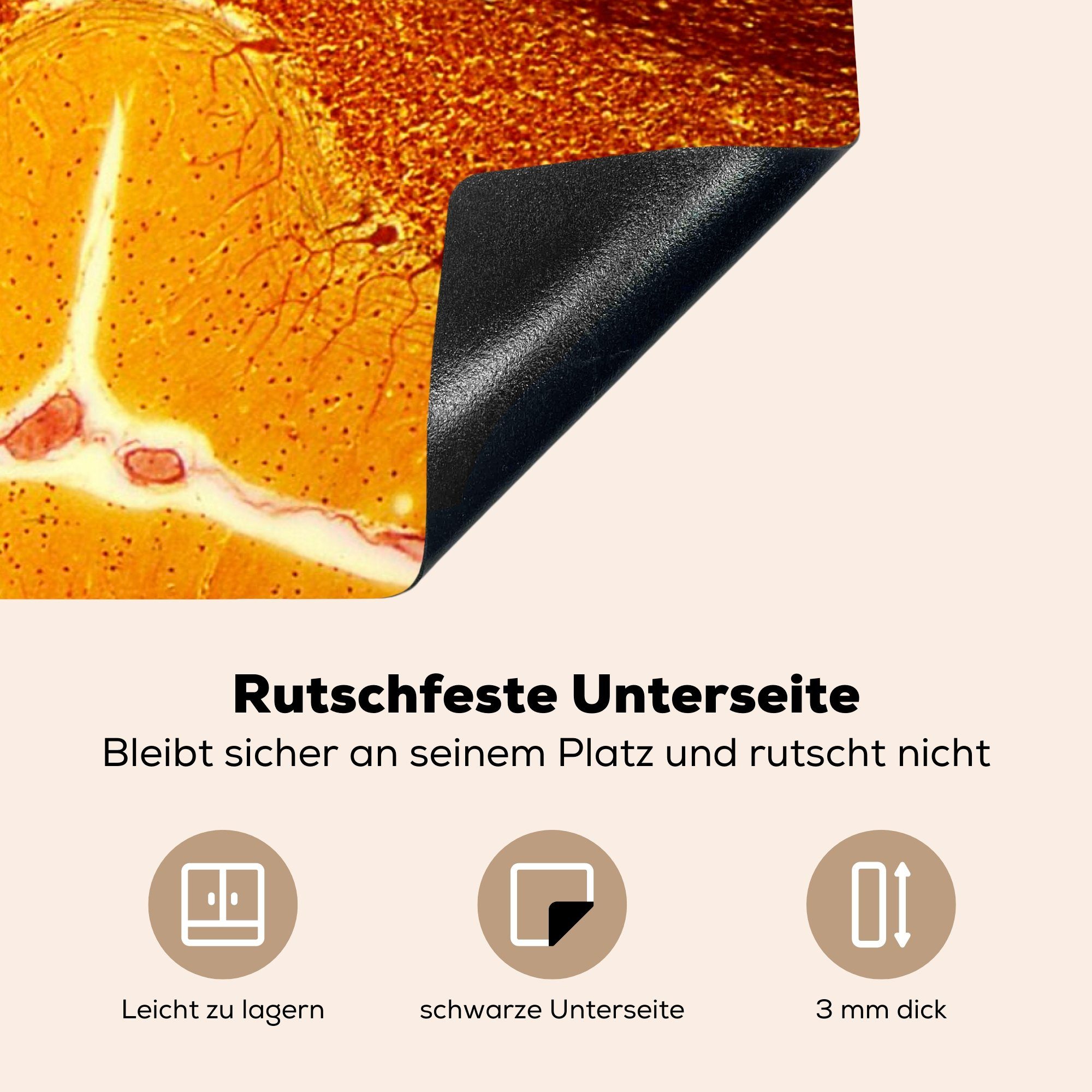 Ceranfeldabdeckung für Vinyl, Schutz die Zellen Nerv, in Orangefarbene Induktionskochfeld einem 81x52 Herdblende-/Abdeckplatte cm, küche, tlg), MuchoWow (1