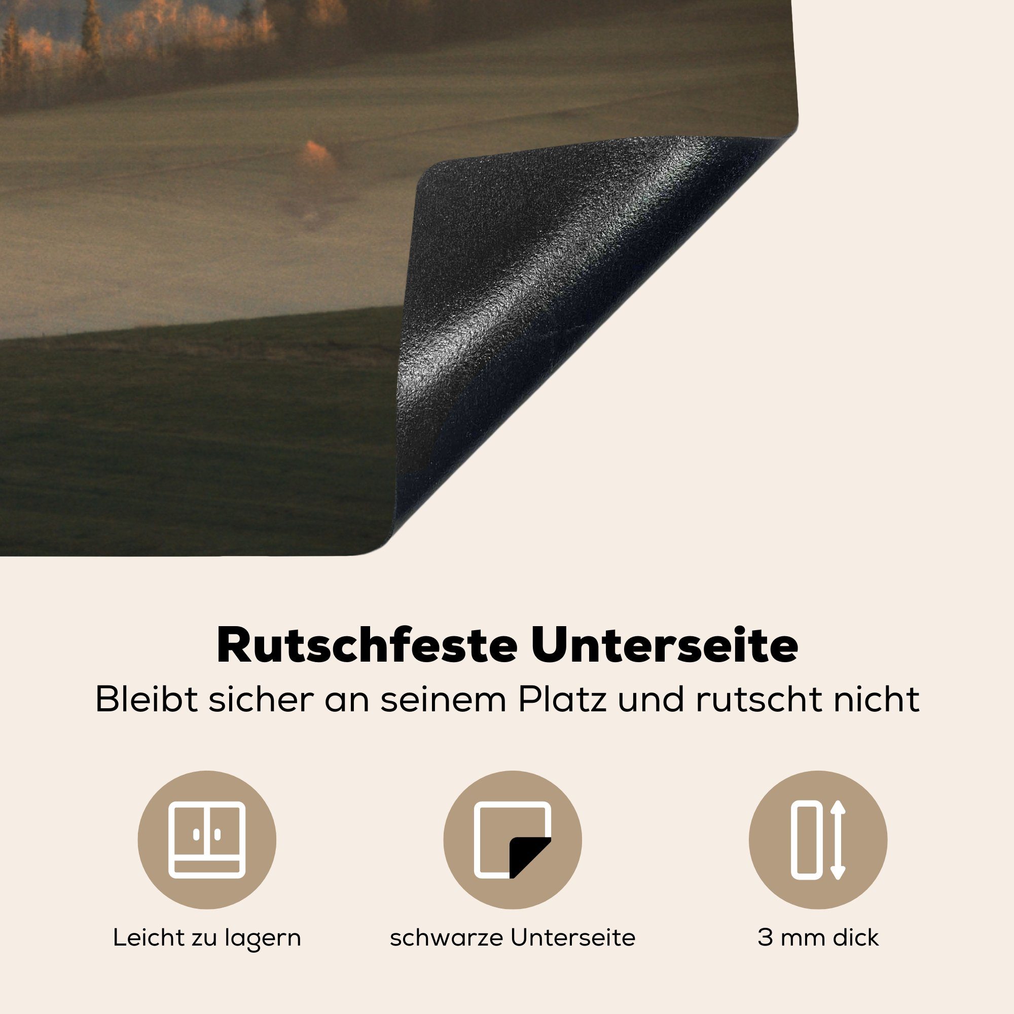 81x52 Vinyl, für Ceranfeldabdeckung cm, Herdblende-/Abdeckplatte Polens, Induktionskochfeld die Berge (1 tlg), MuchoWow küche, Schutz Die