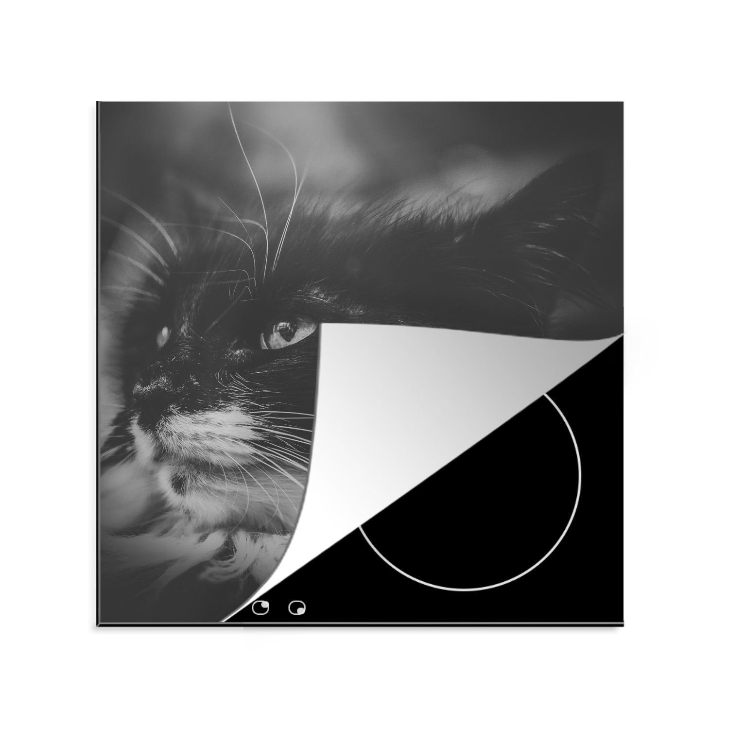 MuchoWow Herdblende-/Abdeckplatte Tierprofil seitwärts blickende Katze in Schwarz und Weiß, Vinyl, (1 tlg), 78x78 cm, Ceranfeldabdeckung, Arbeitsplatte für küche