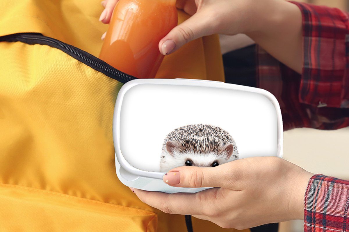 Natur für Tiere MuchoWow Kunststoff, - Mädchen Brotbox (2-tlg), und Kinder und Weiß, Lunchbox - Jungs - für Erwachsene, Brotdose, Igel