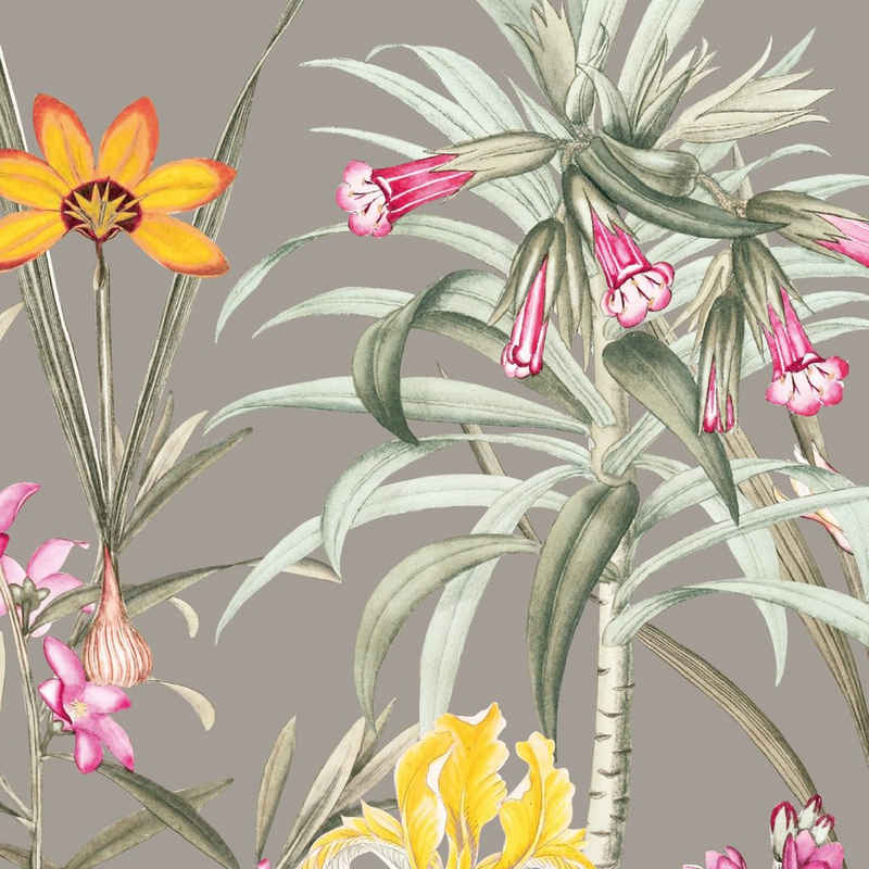 anna wand Bordüre Botanical Garden / Blumen - mehrfarbig/taupe - selbstklebend, floral, selbstklebend