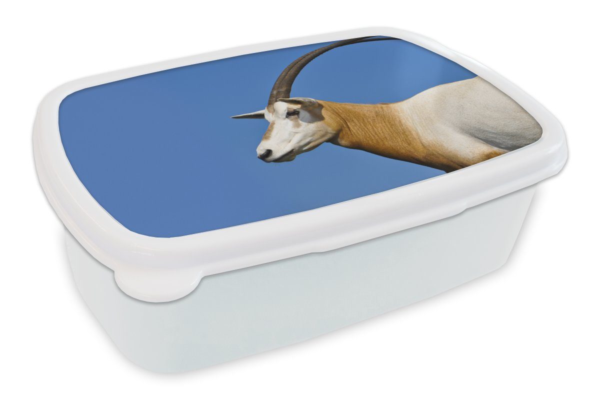 MuchoWow Lunchbox Tier - Horn - Ziege, Kunststoff, (2-tlg), Brotbox für Kinder und Erwachsene, Brotdose, für Jungs und Mädchen weiß
