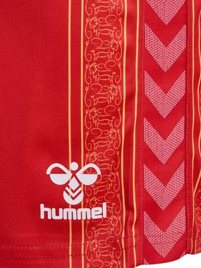 hummel Trainingsshorts 1.FC KÖLN 23/24 Karneval Shorts