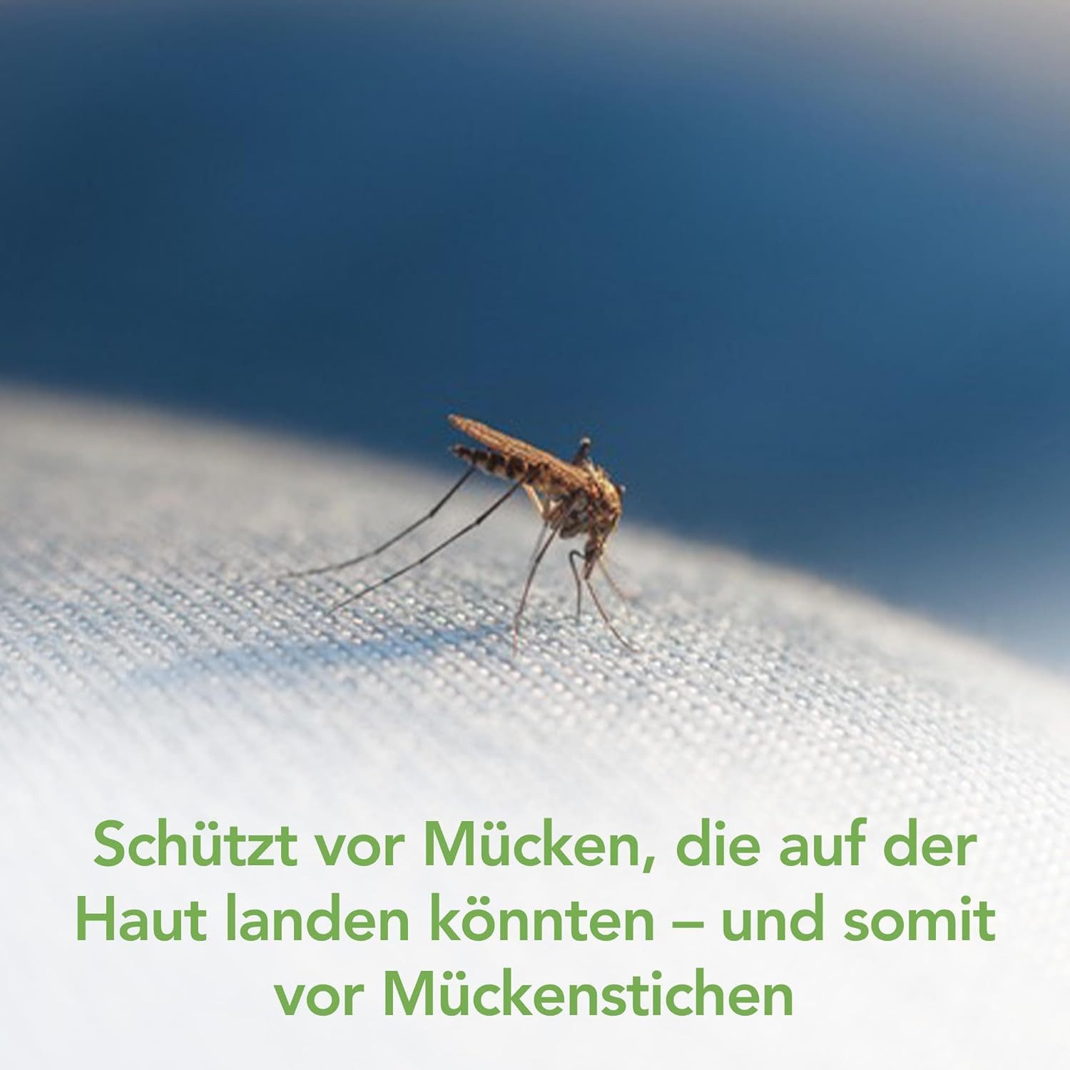 Raid Insektenfalle Essentials Mückenabwehr Raumschutz-Spray, 300ml