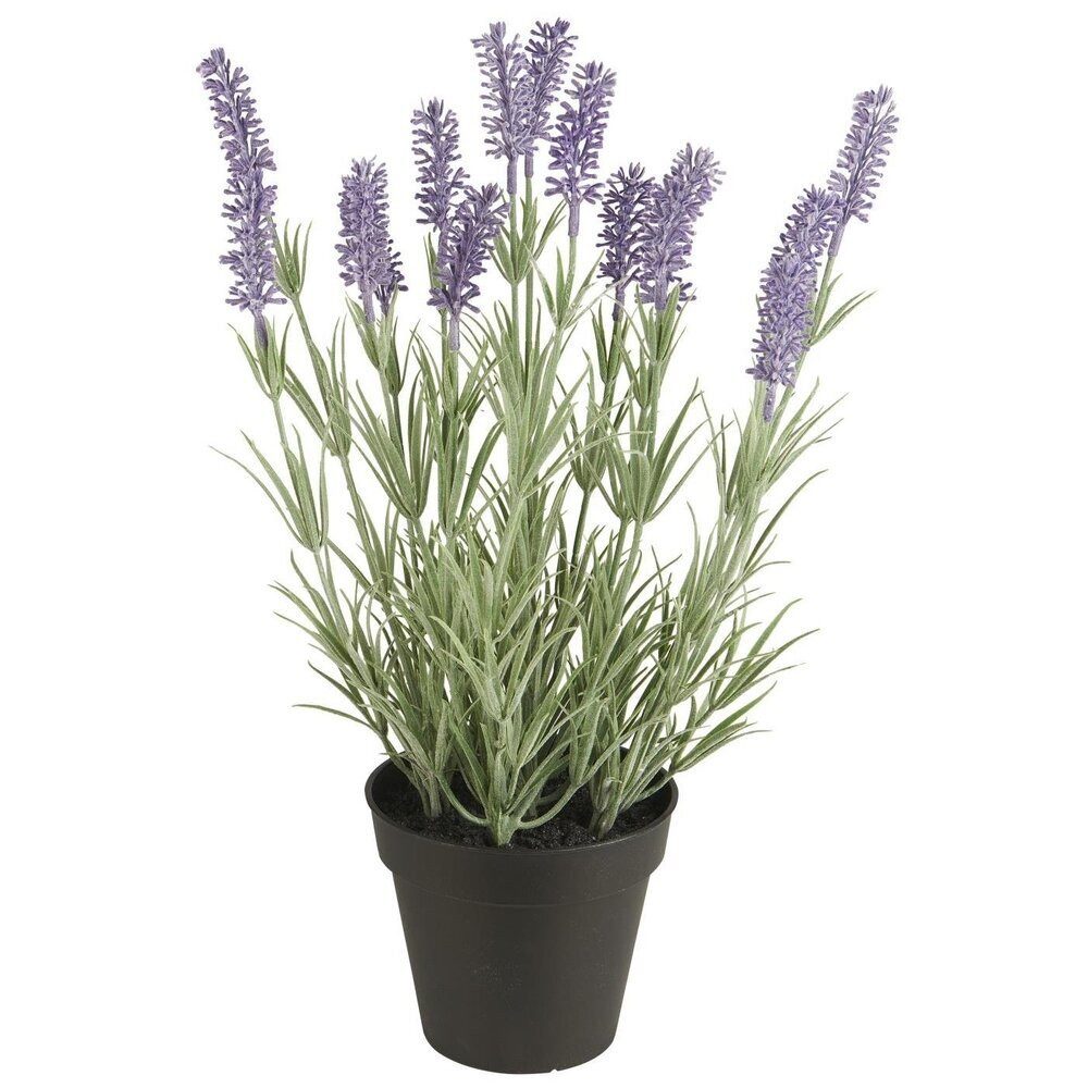 Kunstpflanze Lavendelpflanze Topf, Ib Laursen, Höhe 40 cm
