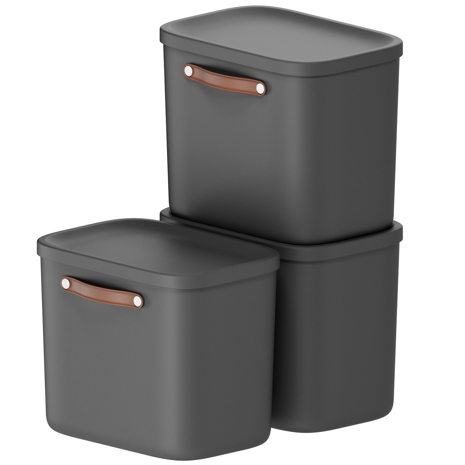 ROTHO Stapelbox 3er-Set Kiste mit Deckel Maloja 25l (Aufbewahrungsset, 3er-Set)