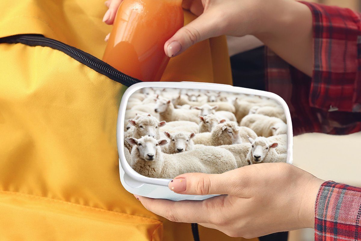 Wolle Jungs Lunchbox Erwachsene, Weiß, Brotbox MuchoWow (2-tlg), für für Kunststoff, und Mädchen und - Brotdose, - Kinder Schafe