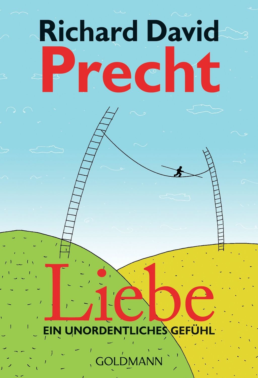 Sachbuch Liebe Ein unordentliches Gefühl Richard David Precht