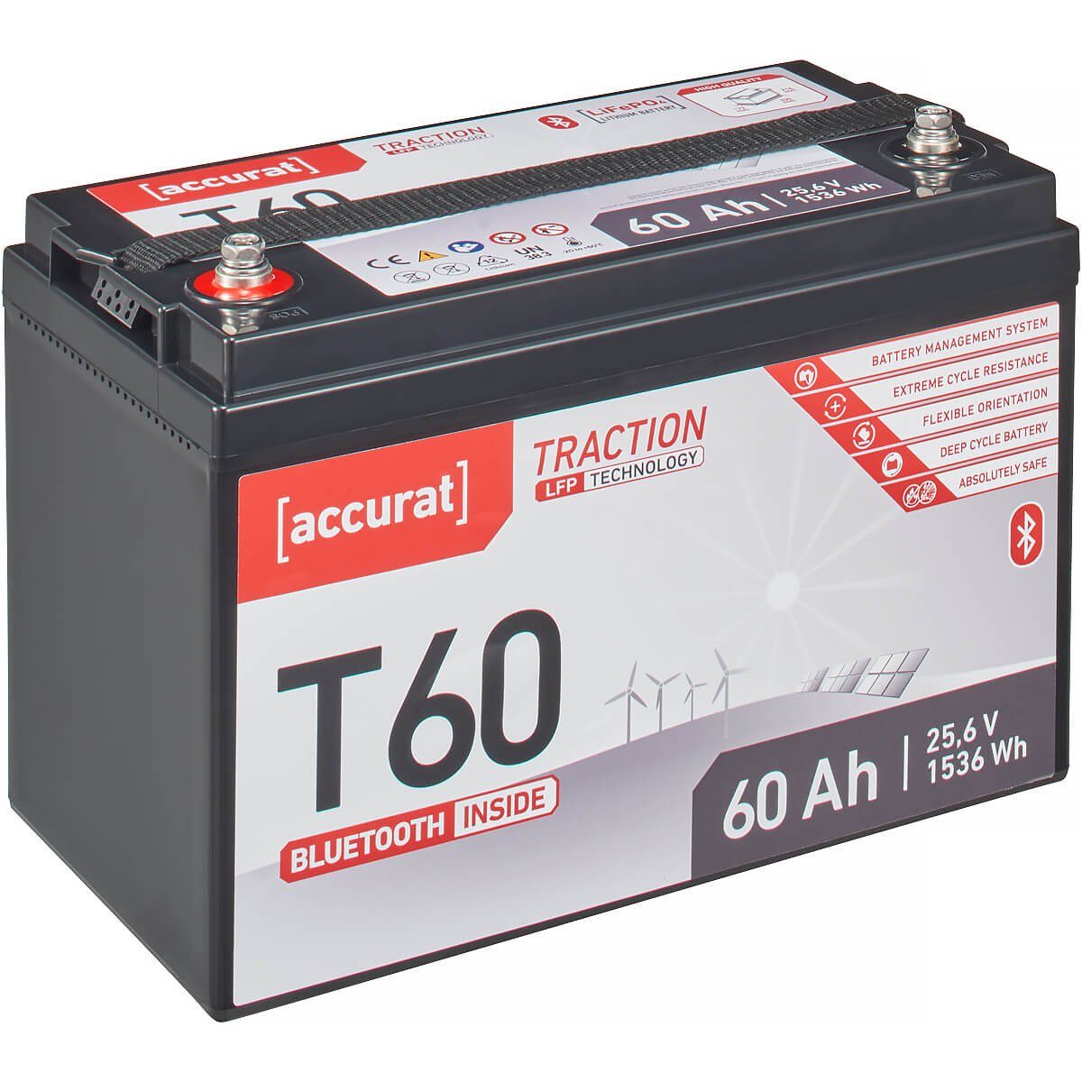 accurat Accurat Traction T60 LFP BT 24V LiFePO4 Lithium 60Ah Batterie, (24 V V)