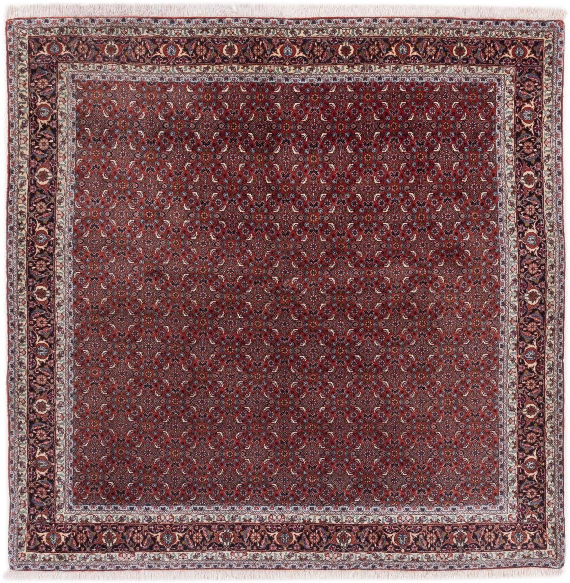 Orientteppich Bidjar 244x240 Handgeknüpfter Orientteppich / Perserteppich, Nain Trading, rechteckig, Höhe: 15 mm