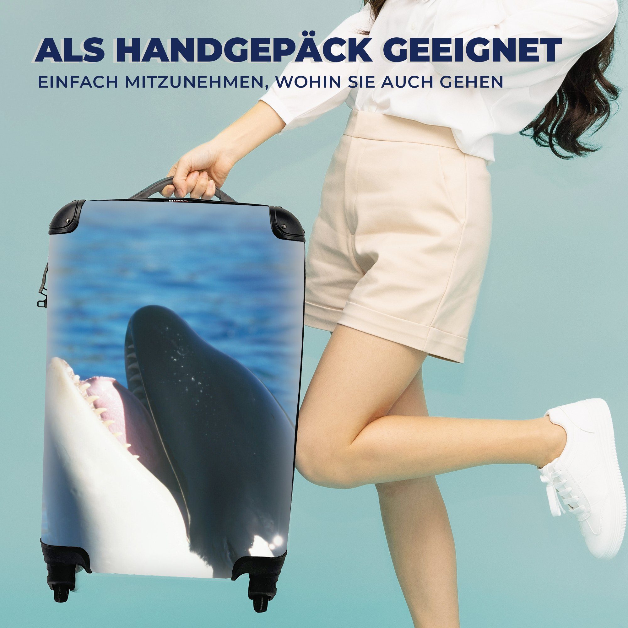 Trolley, Reisekoffer Handgepäck der MuchoWow 4 rollen, Orca Rollen, mit Reisetasche nahe Ferien, Handgepäckkoffer für Wasseroberfläche,