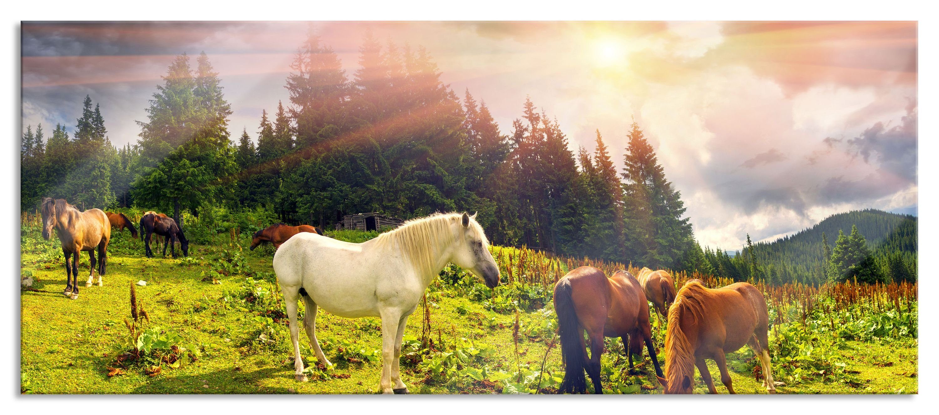 Pixxprint Glasbild Mustangs Pferde auf den Bergen, Mustangs Pferde auf den Bergen (1 St), Glasbild aus Echtglas, inkl. Aufhängungen und Abstandshalter