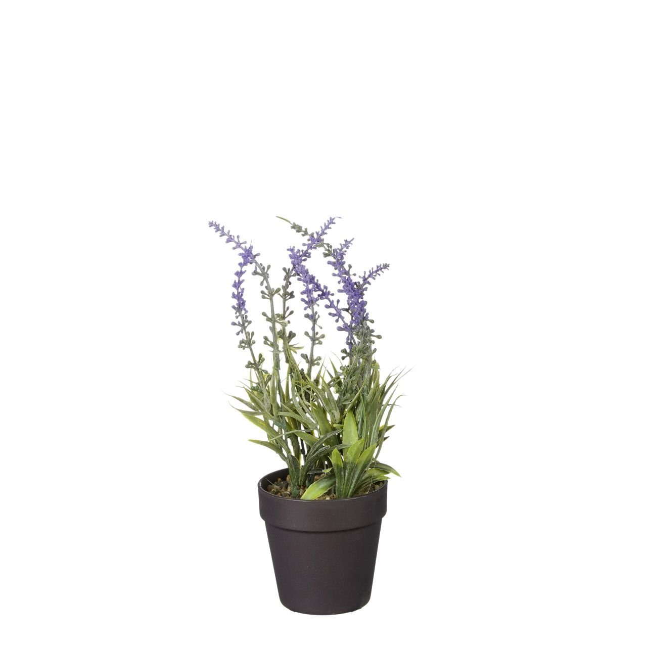 Kunstpflanze Mica künstlicher Lavendel im Topf violett 24 x 10, Mica Decorations