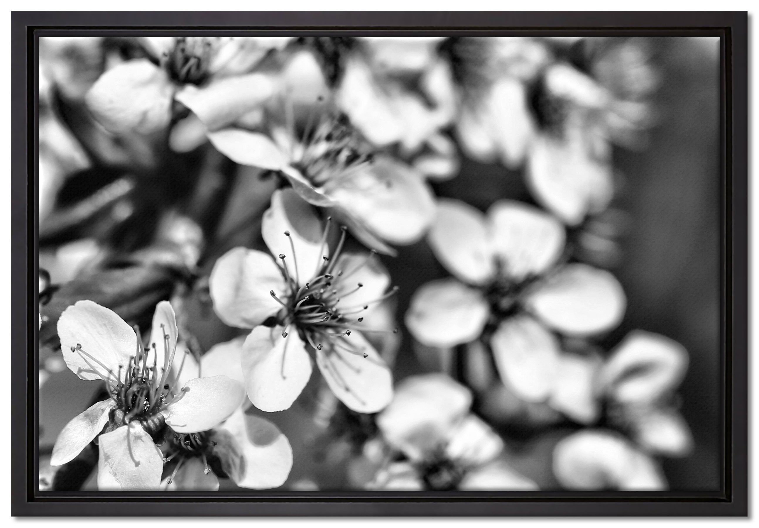 Pixxprint Leinwandbild Retro, inkl. bespannt, Wanddekoration einem St), in Kirschblüten Zackenaufhänger (1 Schattenfugen-Bilderrahmen Leinwandbild gefasst, fertig