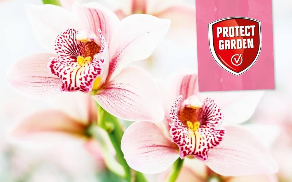 Protect Garden Blumendünger Protect Garden Beautykur Orchideendünger, 20 ml