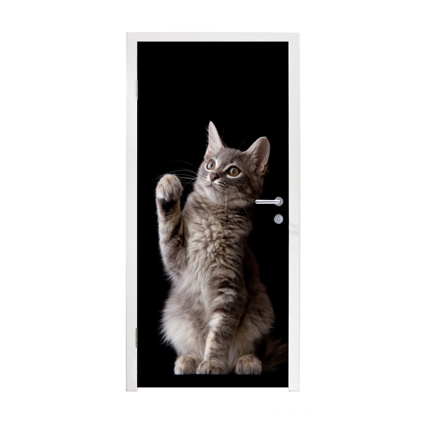 MuchoWow Türtapete Sibirisches Kätzchen, Matt, bedruckt, (1 St), Fototapete für Tür, Türaufkleber, 75x205 cm